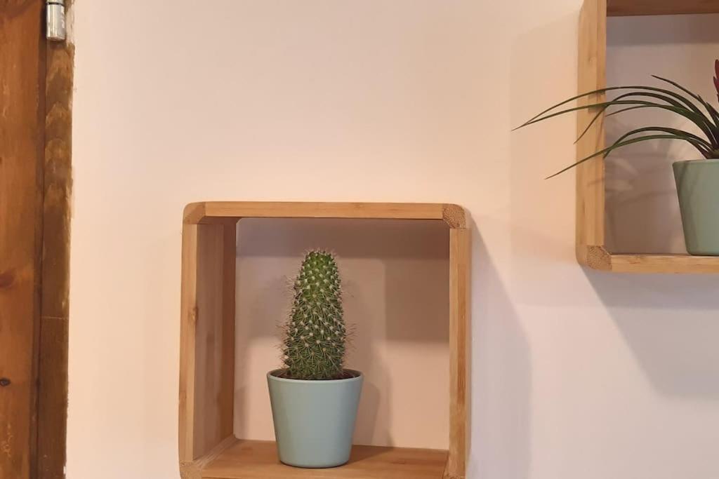 Lemuria Apartament Szkolna Centrum Lehnice Exteriér fotografie